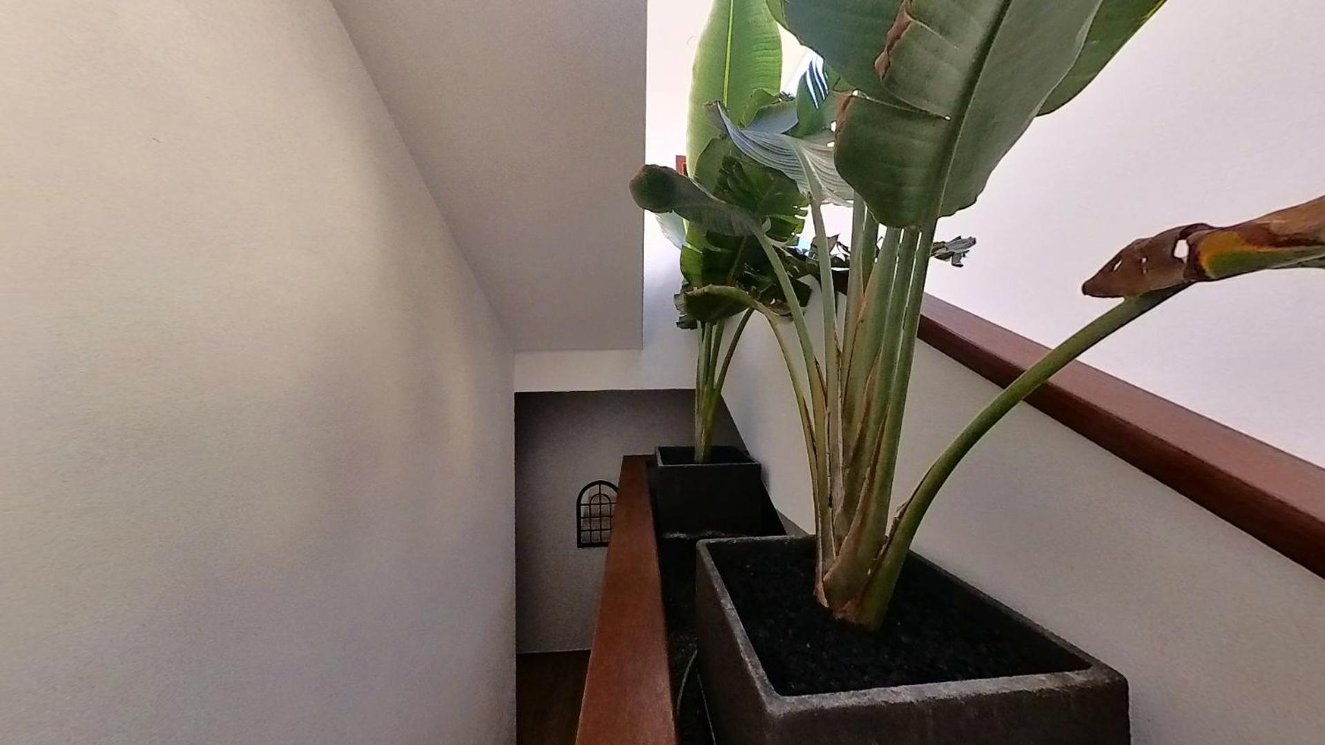 Myhome Urban Apartments プエルト・デル・ロサリオ エクステリア 写真